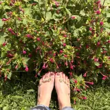 Flowers — BrutPointe2