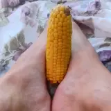 Sweetcorn — LégerEmpreinte66