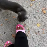 Outside for a Bit — NetCambrure47